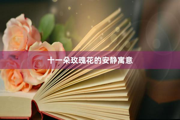 十一朵玫瑰花的安静寓意